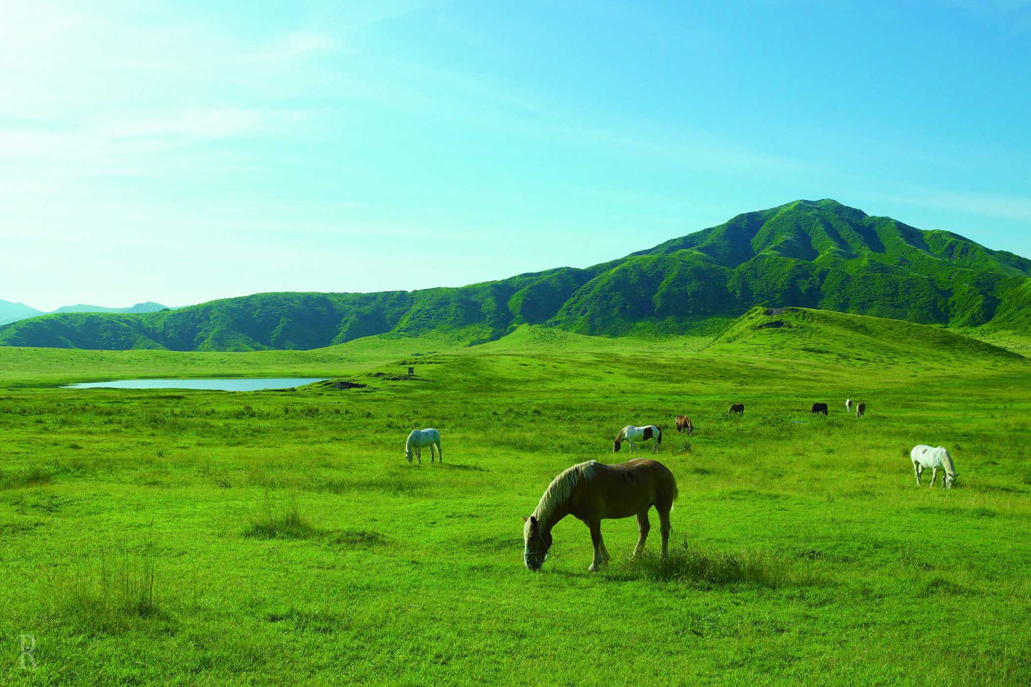 Discover Nearby Attractions to Enrich Your Stay